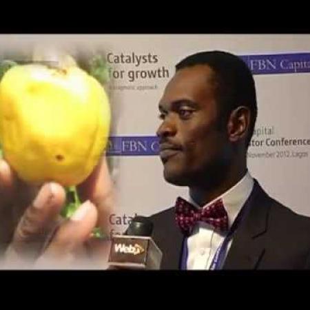 Economic Opportunities in the Cashew nut industry