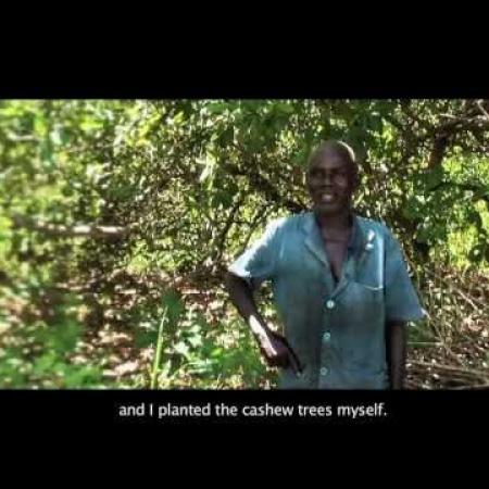 Cashew International