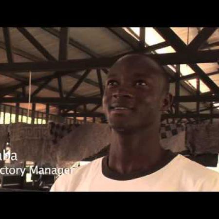 Cashew: people and profit 