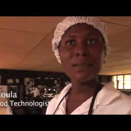 People Profit And Cashews In Africa